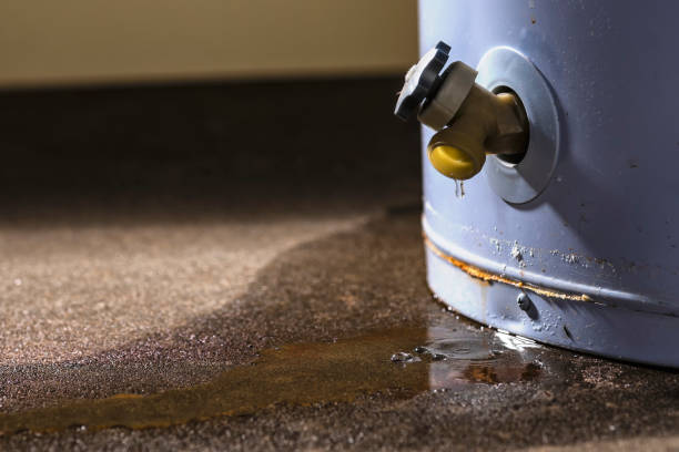 Best Local water damage restoration  in Red Hill, PA