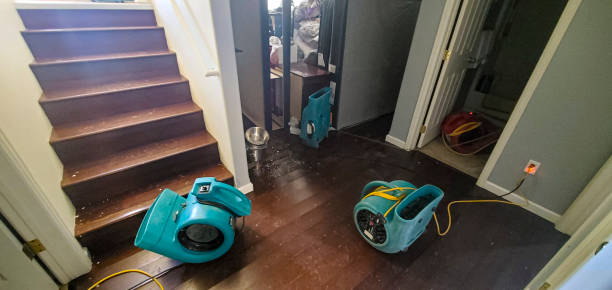 Best Water damage cleanup near me  in Red Hill, PA