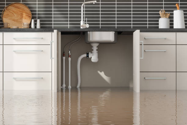 Best Basement water damage restoration  in Red Hill, PA